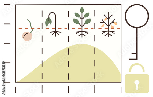 Stages of plant growth from seed to decay depicted on a graph alongside key and lock. Ideal for education, biology, sustainability, growth, learning, securing knowledge, and science themes. Simple