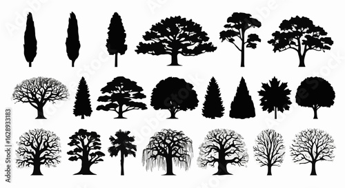 Collection of various tree silhouettes, including oak, pine, maple, and willow isolated on white background