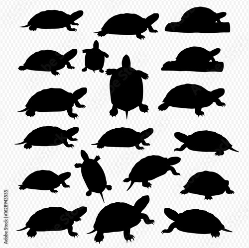 A collection of black turtle and tortoise silhouettes in various poses and angles.