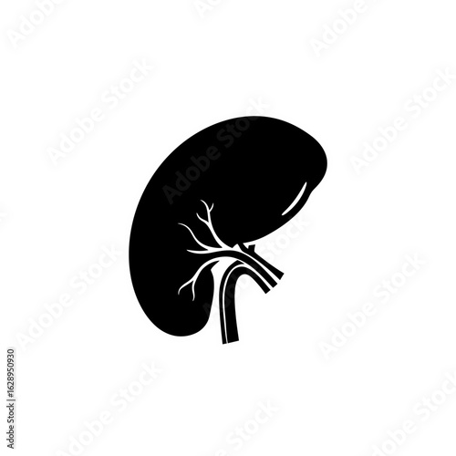 A black silhouette icon of a human kidney, showing the organ with its connected renal artery and vein.