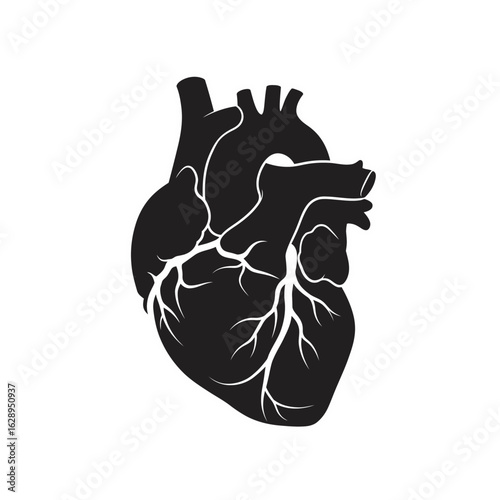 Stylized black silhouette of a human heart with visible arteries and veins against a white background.