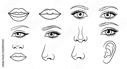 Collection of handdrawn female facial features in black line art including eyes lips noses and an ear.