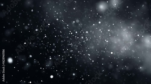 Black and White Particle Background with Snow Effect