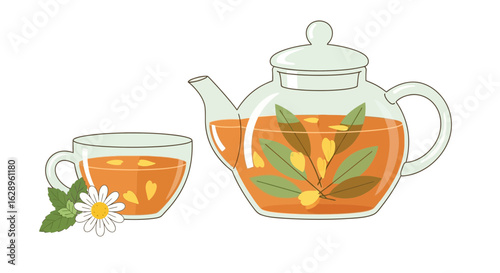 Herbal Tea with Teapot and Cup Vector Illustration

