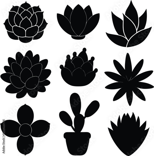 Succulent plant silhouettes black and white succulent plants
