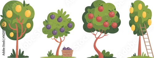 Cartoon fruit trees vector illustration for kids learning