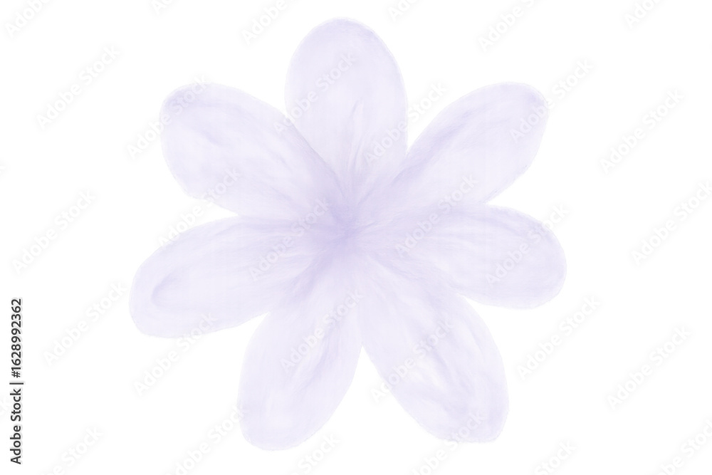Fototapeta premium Delicate purple flower blossoming, revealing soft lavender petals with graceful silhouette against clear backdrop, embodying natural elegance