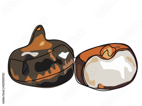Water chestnut in continuous line pattern on white background.