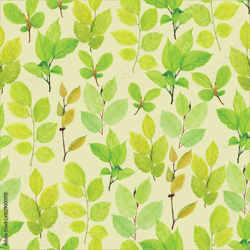 beautiful chrysanthemum seamless pattern