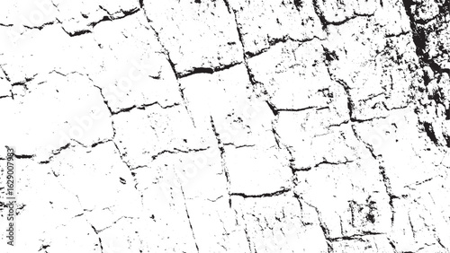 Monochromatic Grunge Cracked Texture Overlay Abstract Background Vector
