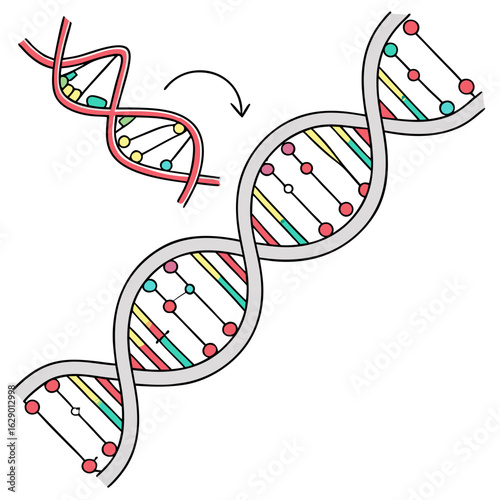 Colorful DNA Double Helix Illustration
