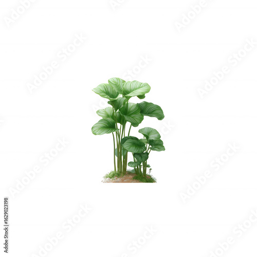 A fresh cluster of vibrant green leaves, showcasing lush foliage against a white isolated background. Ideal for nature-inspired compositions and botanical themes.