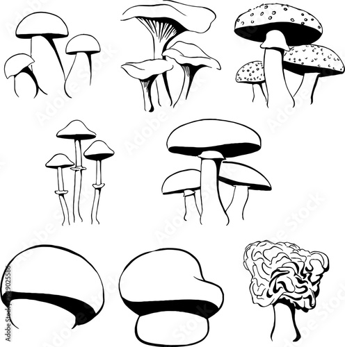 Adobe Illustrator Artwork