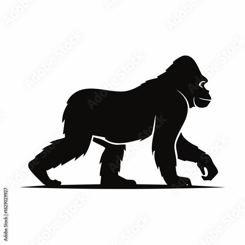 Silhouette of a powerful gorilla striding forward, showcasing its form.