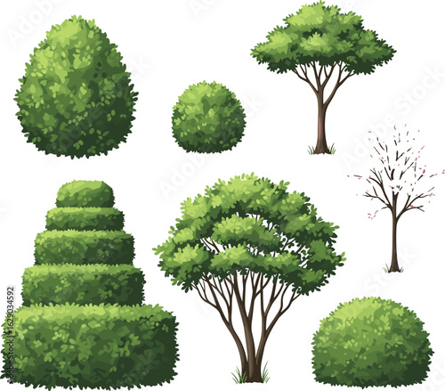 Set of realistic trees and bushes, landscape garden elements collection, detailed foliage nature plants flat vector.eps