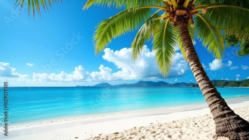 Tropical beach with palm tree, white sand, turquoise sea and blue sky in exotic island paradise travel destination
