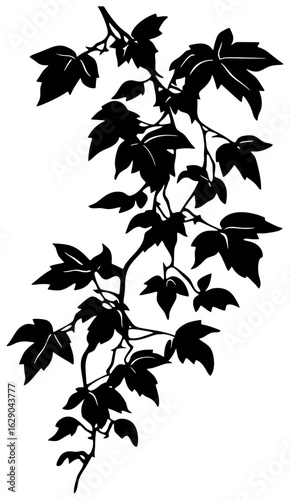 Virginia creeper vine corner border silhouette