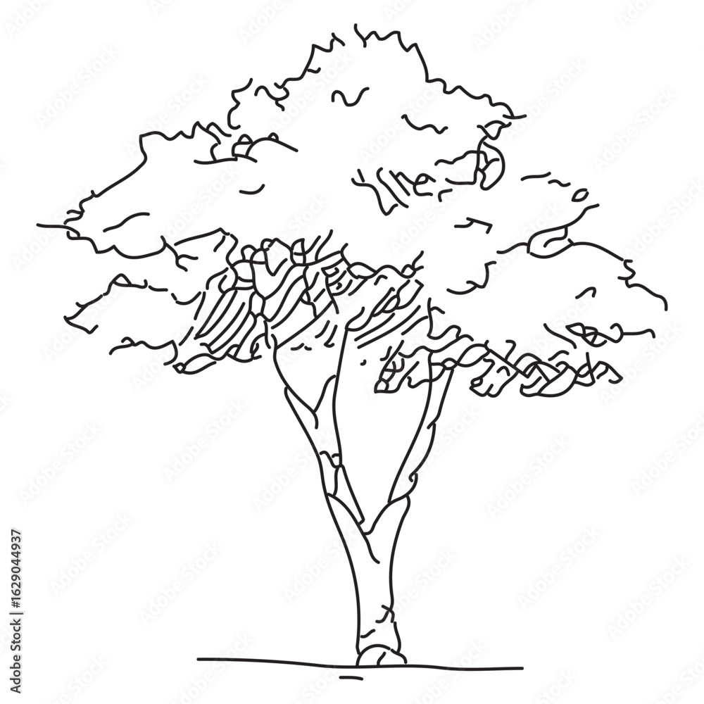 Obraz premium Elegant Hand-Drawn Tree Sketch Illustration for Landscape Art and Design Projects