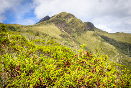 Pichincha Province, Quito, Ecuador - July 5, 2025: The Pasochoa volcano is located in the Pasochoa wildlife refuge. It is an extinct volcano, 4,200 meters high.