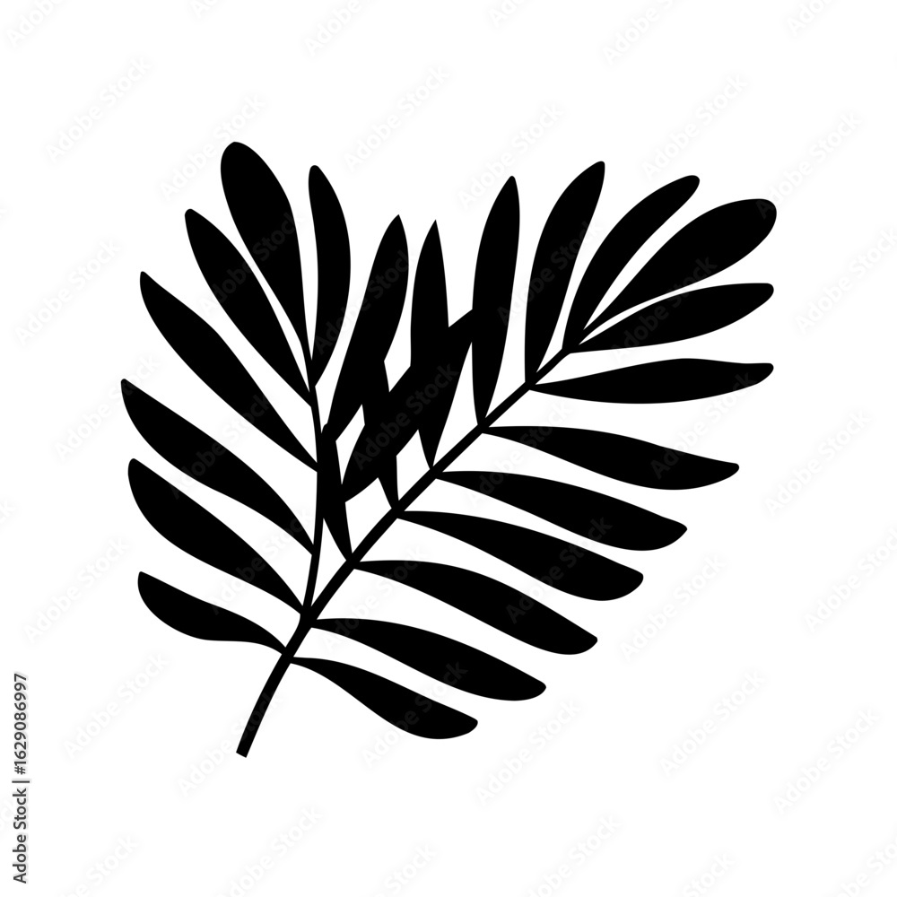 Fototapeta premium Tropical leaves silhouette, Palm leaf icon