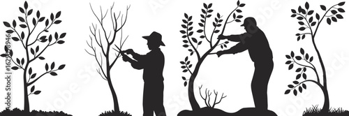 Farmer pruning trees silhouette, gardening man working in orchard, seasonal tree care, agriculture activity, flat vector illustration, black design.eps