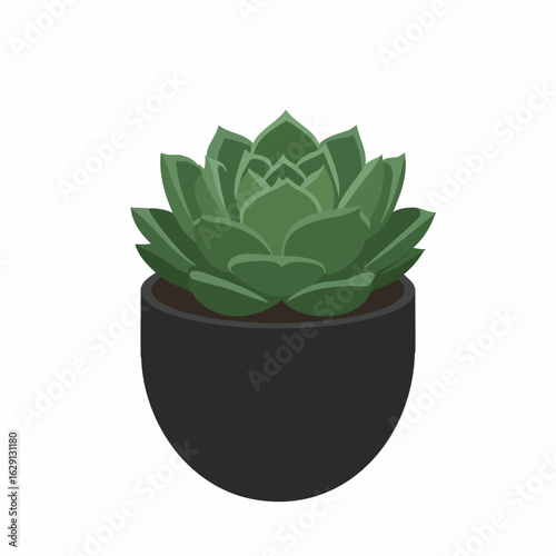 Stylized Echeveria Succulent in Dark Pot, Graphic Illustration