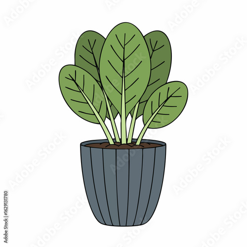 Stylized Potted Plant with Broad Green Leaves and a Ribbed Gray Pot