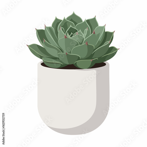 Stylized Echeveria Succulent with Red-Tipped Leaves in a White Pot