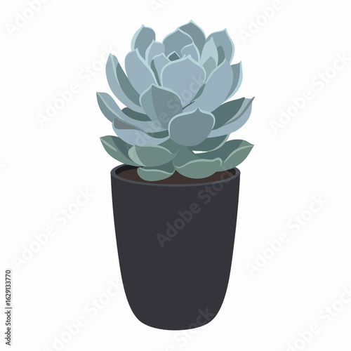 Stylized Echeveria Succulent with Blue-Green Leaves in a Dark Pot