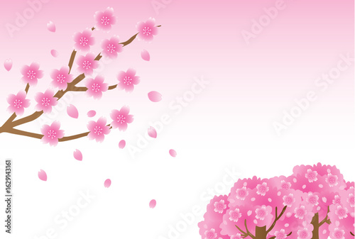 桜のポストカード
