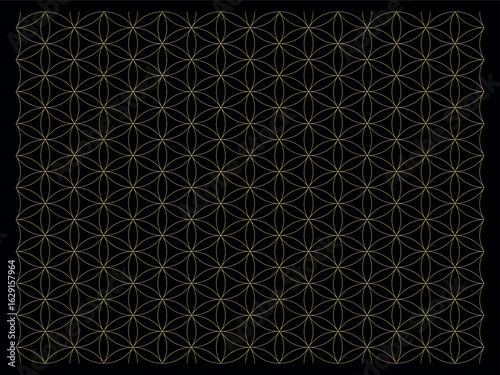 
 Flower of Life Grid Metatronʼs Cube Intricate geometric pattern with repeating hexagonal and triangular shapes in metallic silver and gold on a dark background.