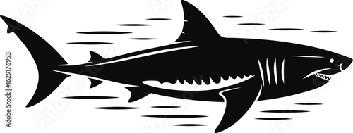 Black shark swimming underwater white ocean