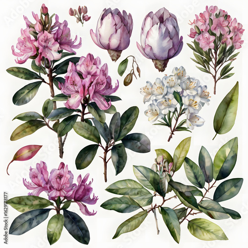 A beautiful seamless pattern featuring a bouquet of pink and purple spring flowers