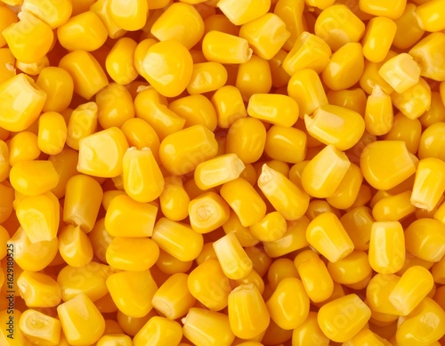 Bright Sweet Corn Kernels on Isolated Background