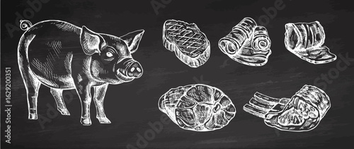 Adobe Illustrator Artwork