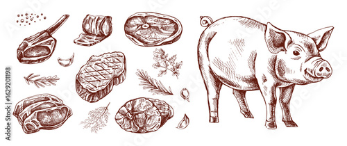 Adobe Illustrator Artwork