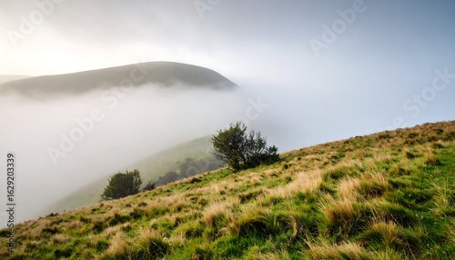 Serene misty landscape view with green hills with trees  fog in the countryside.