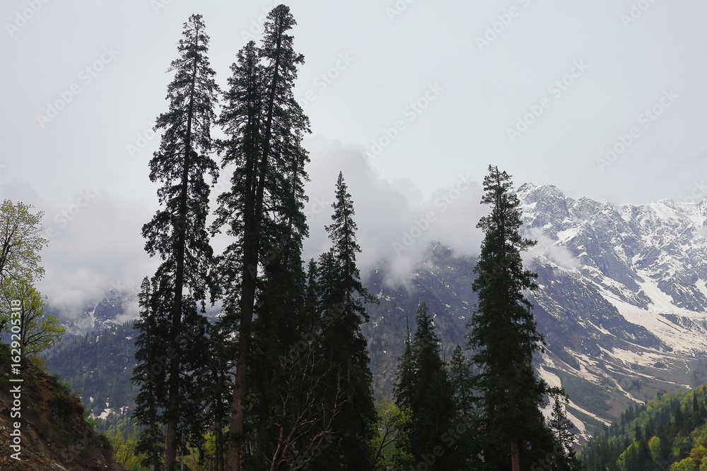 Obraz premium scenic mountain landscape, snowcapped himalaya and lush green forest near atal tunnel, manali hillstation in kullu valley in himachal pradesh, india