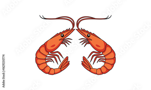 Shrimp vector art for seafood logos illustration, isolated shrimp on white background