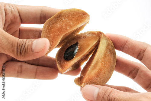 sapodilla fruit isolated on white background. sapodilla fruit and brown skin. sapodilla fruit has a sweet taste. sapodilla is a tropical fruit