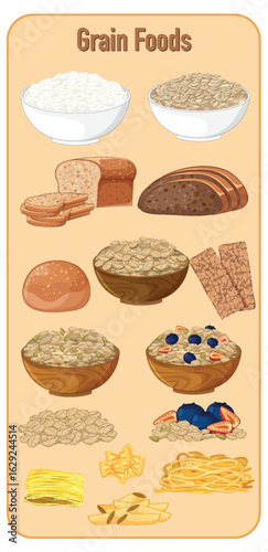 Assorted Grain Foods in Vector Illustration Style