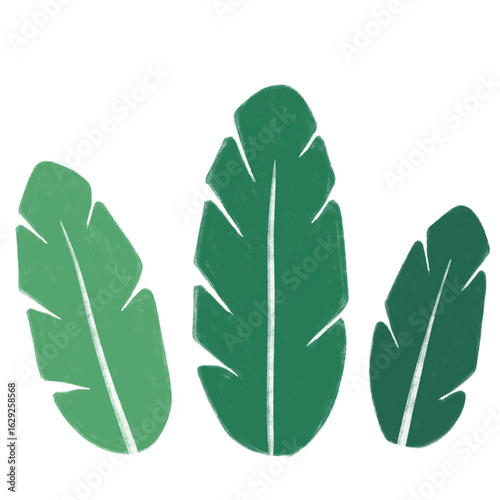 Simple green leaf illustration in flat style. Perfect for eco design, nature backgrounds, and botanical decoration.