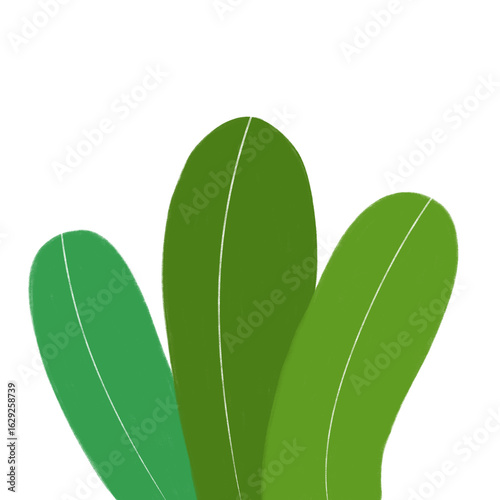 Bold green leaf set in flat style, great for eco backgrounds, garden decoration, and tropical art elements.