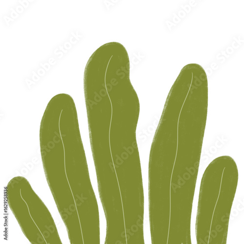 Minimal olive green leaf set in flat style, ideal for tropical design, botanical art, and eco-themed projects.
