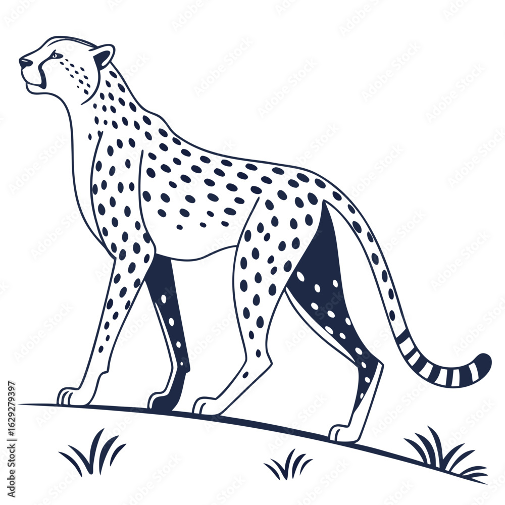 Fototapeta premium Leopard vector illustration