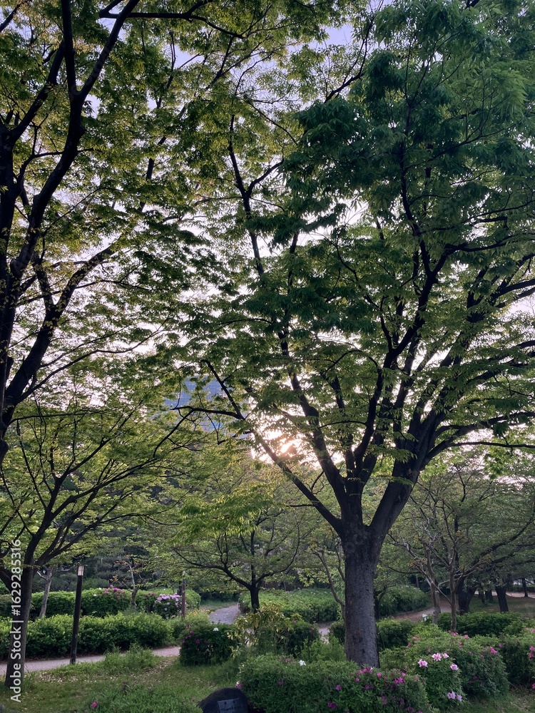 Fototapeta premium spring in the park