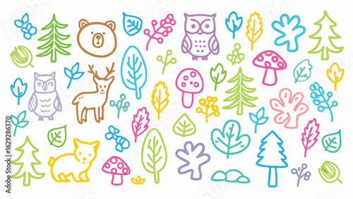 Colorful forest illustration with bear, deer, owl, trees, leaves and mushrooms in a playful style