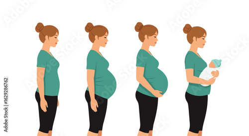 Stages of pregnancy and motherhood showing a woman's growing belly and holding a newborn.