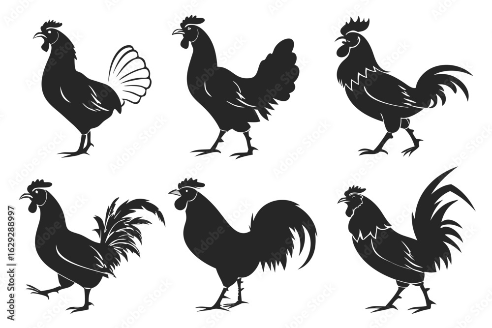 Fototapeta premium Set of black rooster silhouettes. Vector graphic collection of farm poultry birds, cockerel icons isolated on white background.