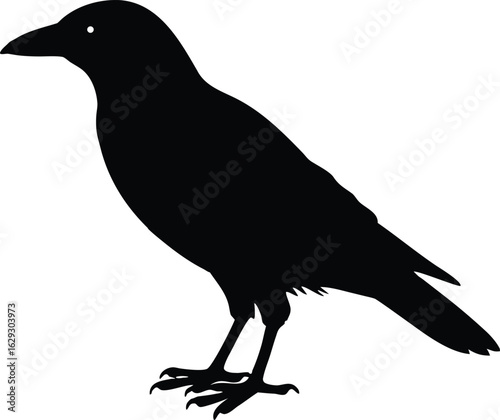 Crow silhouette black bird vector isolated on white background, flying raven clipart illustration